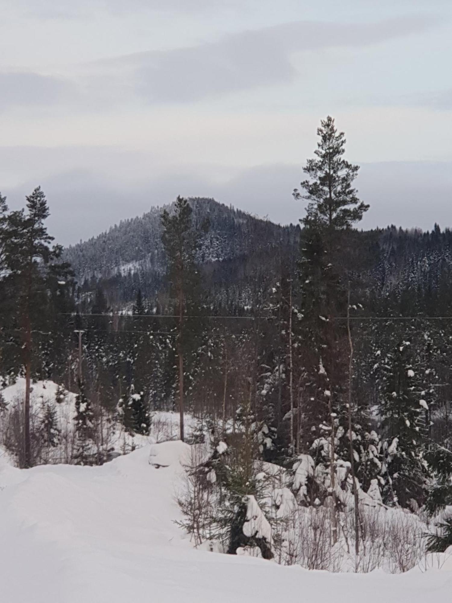 Tyforsgarden Apartment Mjolnartorpet Екстериор снимка